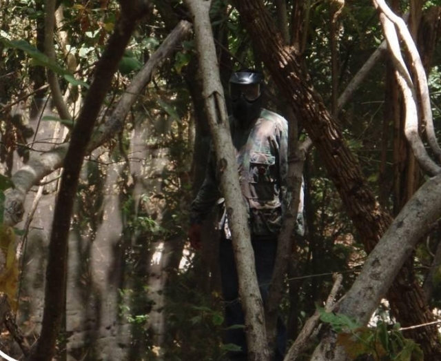 El bosque es el campo.jpg